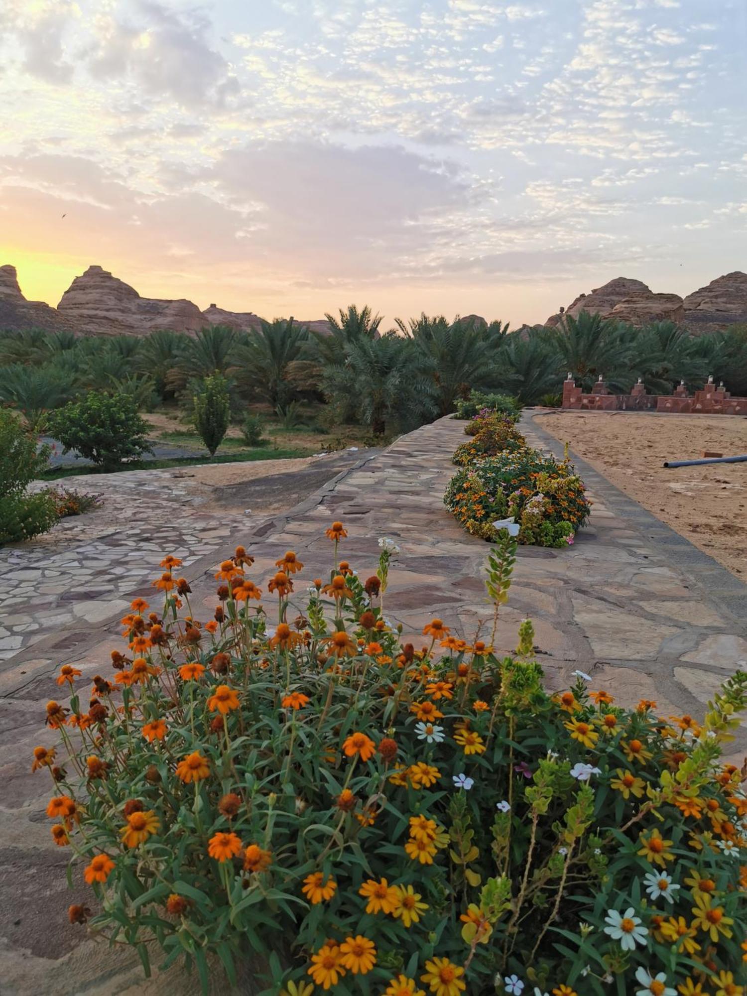 Naseem Country House Al Ula Bagian luar foto